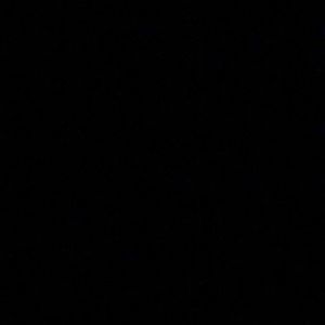 Meet your Posher, Tori